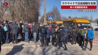 【速報】ウクライナで住民避難を支援  赤十字国際委員会