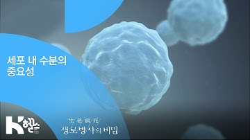 세포 내 수분의 중요성 - (20190320_687회 방송) 지긋지긋한 피로, 건강의 적신호