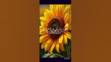 #القرآن_الكريم #اكسبلور #المصحف #تلاوة #اللهم_صل_وسلم_على_نبينا_محمدﷺ #الشيخ_عبدالباسط_عبدالصمد