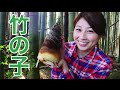 Digging up bamboo shoots! 竹の子を掘ってみた!