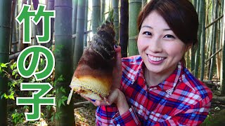 Digging up bamboo shoots! 竹の子を掘ってみた！ by Japanagos（ジャパナゴス） 416,896 views 8 years ago 9 minutes, 42 seconds