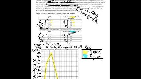 EnzymeGraphExplained