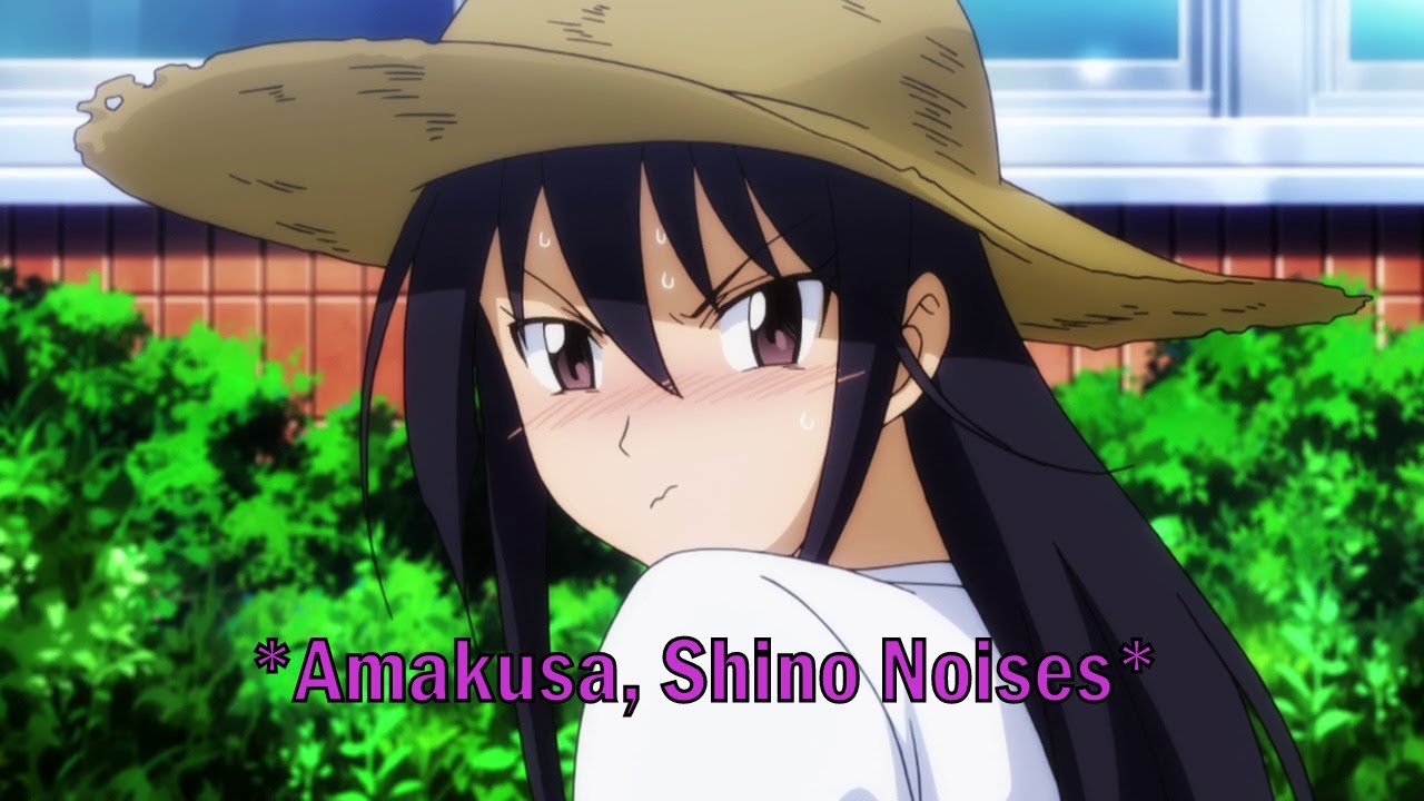 For Amakusa, Shino Fans/*Amakusa, Shino Noises* - YouTube