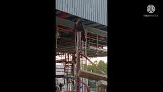 burung gagak suka suri bekal makan member #shorts#