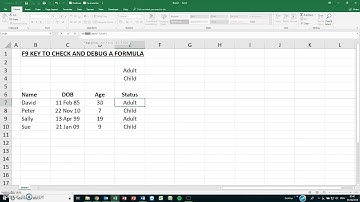 Check & Debug Excel Formulas with F9