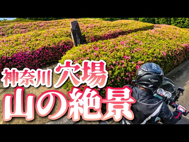 Best Viewed in Early June | Touring to a Stunning Spot with 50,000