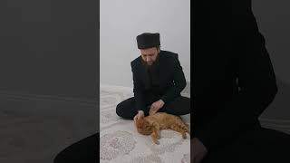 Dr. Ali saves the cat