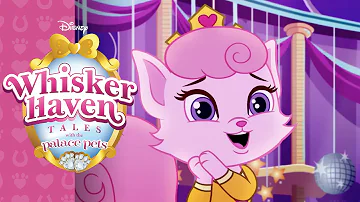 A Dreamy-ful Birthday | Whisker Haven Tales with the Palace Pets | Disney Junior