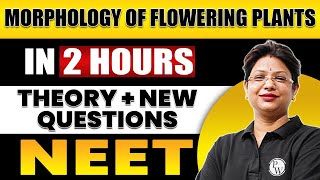 MORPHOLOGY OF FLOWERING PLANTS in 2 Hours | All Theory + Expected Questions for NEET