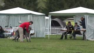 JASDeer2012Landstuhl01