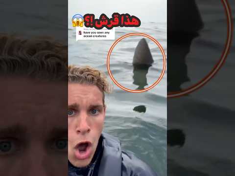 ماذا وجد هذا الشاب في رحلة إلى المحيط 