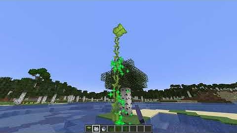 Minecraft 1.17 Logic