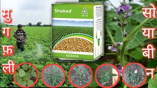 Adama Shaked Herbicide / सोयाबीन ओर मूंगफली में सकडी ओर चौड़ी पत्ती खरपतवार नाशक / अदामा शकेद