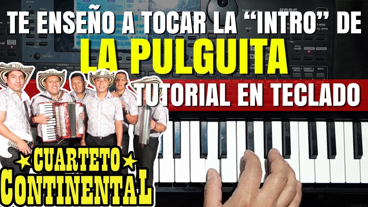 La Pulguita - Cuarteto Continental (INTRO TUTORIAL)