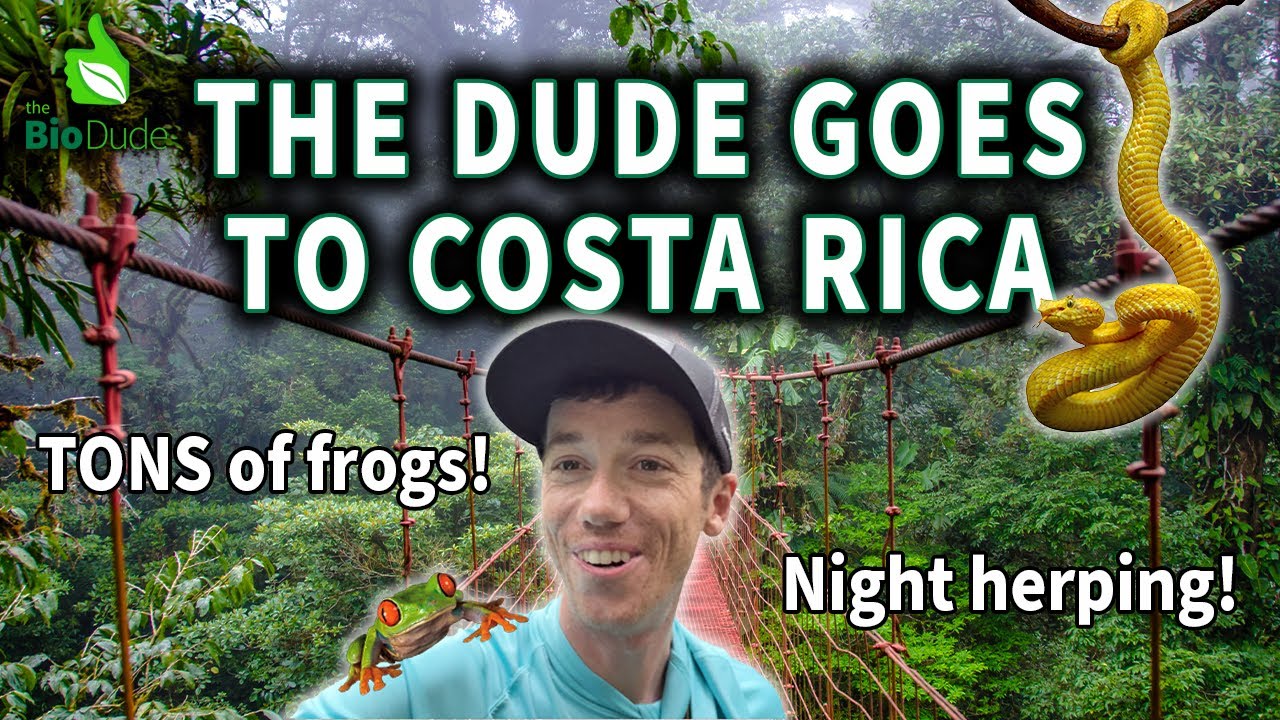 2025 COSTA RICA VLOG: Herping in the cloud forests!