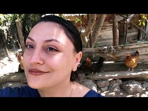 სოფლის Vlog 🐓 რა გავაკეთო დღეს მორიგე ვარ 🤣 @likamegreli გავიარე 🍀❣️