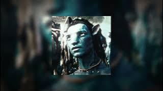 𝙎𝙕𝘼 ✦ 𝘽𝙞𝙜 𝙗𝙤𝙮 (speed up!)