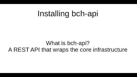 Install bch-api