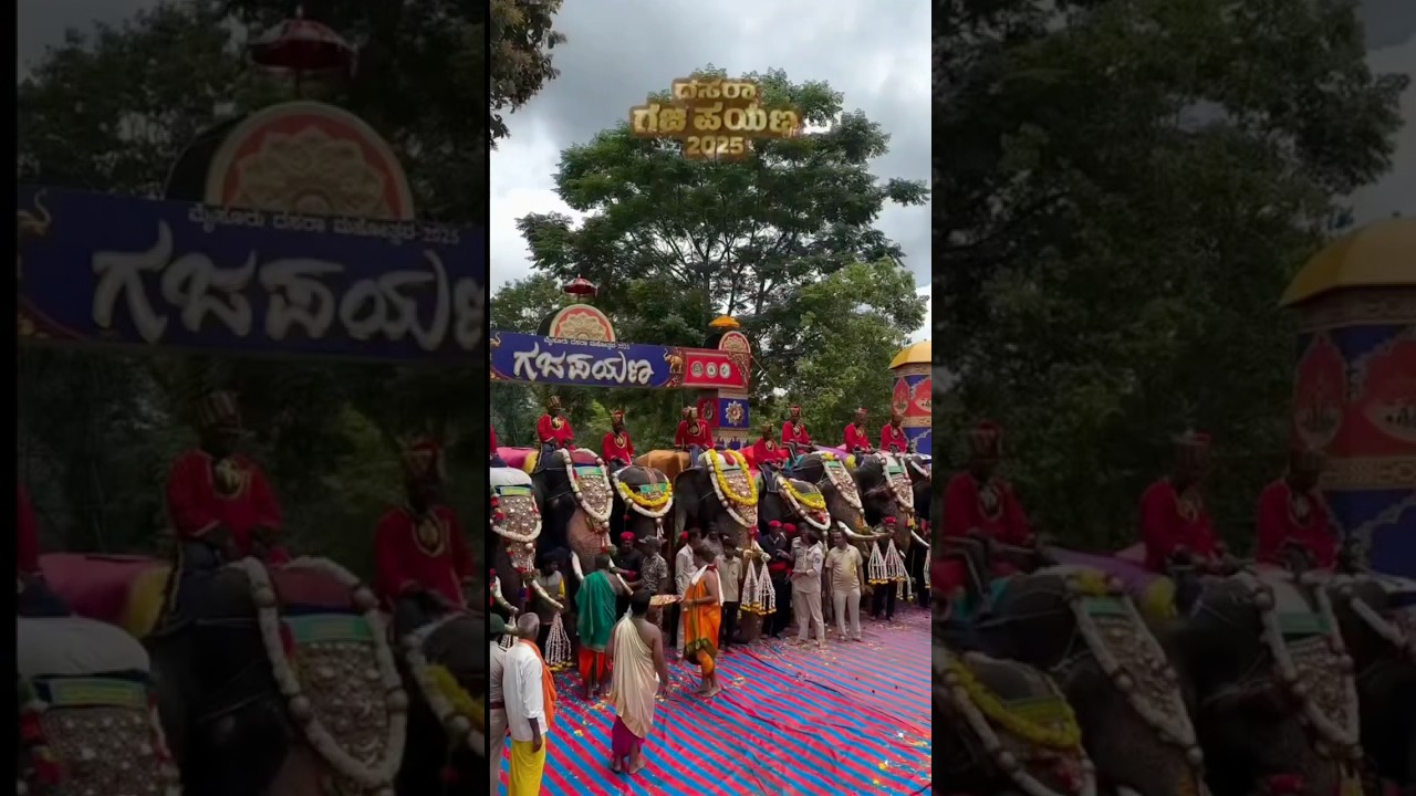 💔 Miss You Arjuna | Legendary Mysore Dasara Elephant | Dasara Tribute 