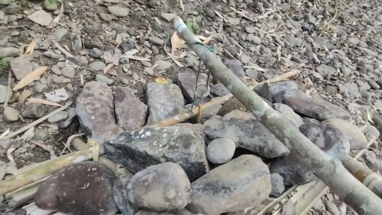 Dt.27.2.2026//Duata nen Kaikuang kan dêng😁