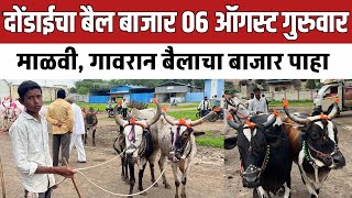 दोंडाईचा बैल बाजार 🛑 06 ऑगस्ट गुरुवार | 50 ते 60 किंमतीचे बैल आले | Dondaicha bail bazar