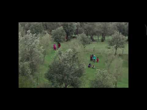 Zire darakhatan zeyton / Through the Olive Trees (1994) aesthetic scene