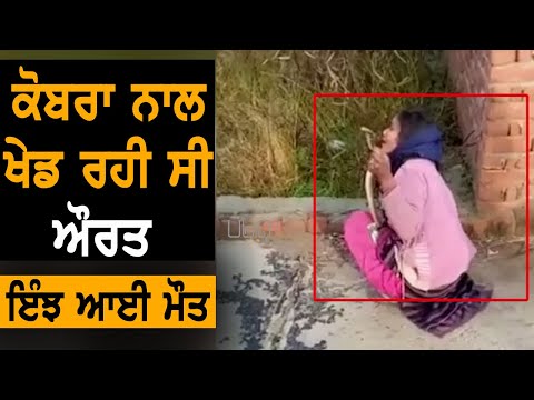 Cobra ਨਾਲ ਖੇਡ ਰਹੀ ਸੀ ਔਰਤ, ਅਚਾਨਕ ਮੌਤ ਨੇ ਮਾਰਿਆ ਡੰਗ | TV Punjab