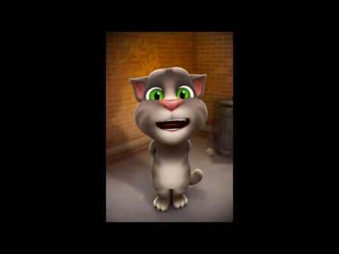 talking-tom-cat-funny-interview-in-hindi,urdu,punjabi