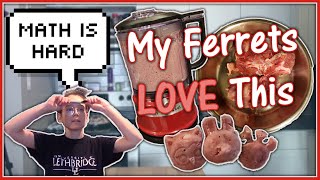 What My Ferrets Eat (aka Meal Prep w/ Me #2)