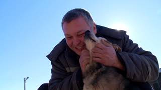 Атырау. Приют для собак и кошек. 15.02.2019г. Атырау. Приют для собак и кошек. 15.02.2019г.