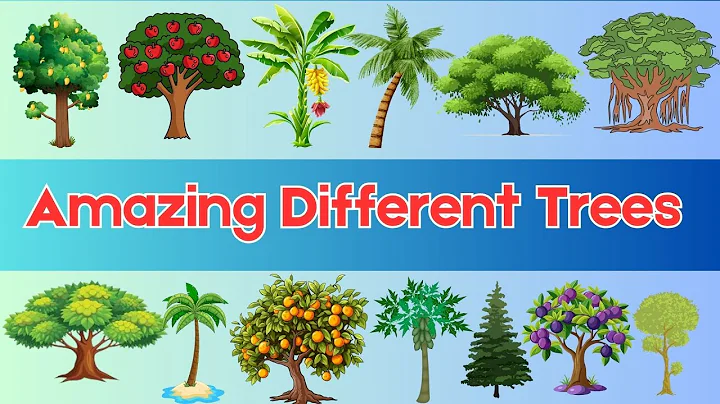 Different Trees for Kids | Learn Tree Names and Fun Facts | Kindergarten Awareness | Tiny Tutors TV