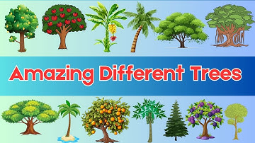 Different Trees for Kids | Learn Tree Names and Fun Facts | Kindergarten Awareness | Tiny Tutors TV
