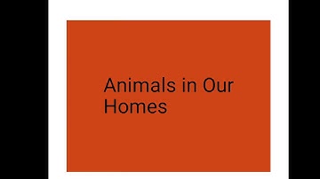 Animals in Our Homes