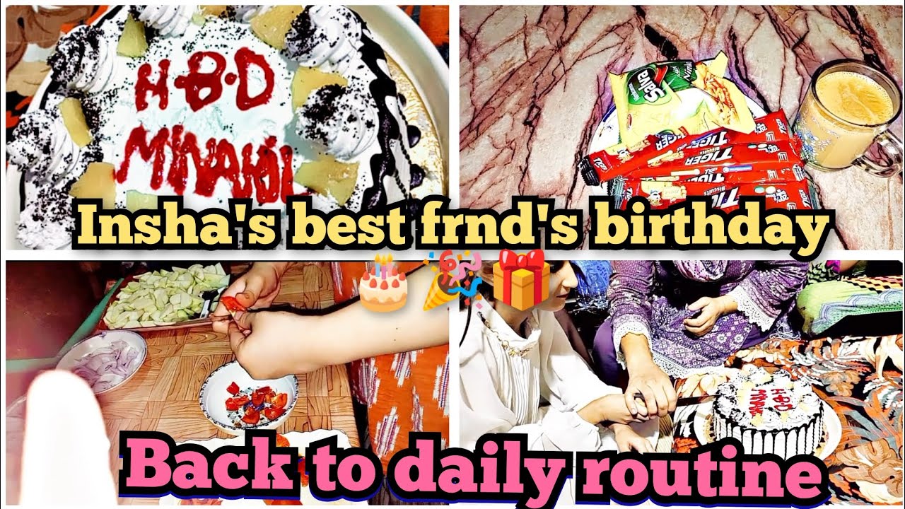 Insha Frnd Finally back to routine vlog || Insha's best friend's birthday ...