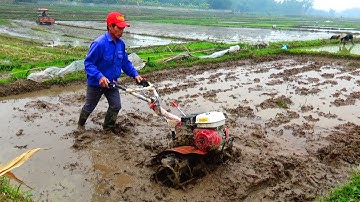 ĐẲNG CẤP Máy xới đất HONDA TIẾN LINH TL601HD ĐỌ kubota L5018 tractor may cay - cuoc song mien nui