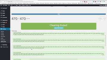 Delete Posts plugin - deleting process (2)