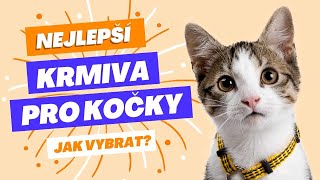 Jak vybrat krmivo pro kočky a jaké jsou ty nejlepší? [MOJE TOP 5]