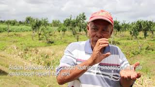 Download Lagu INFO ALLIANCE MP3