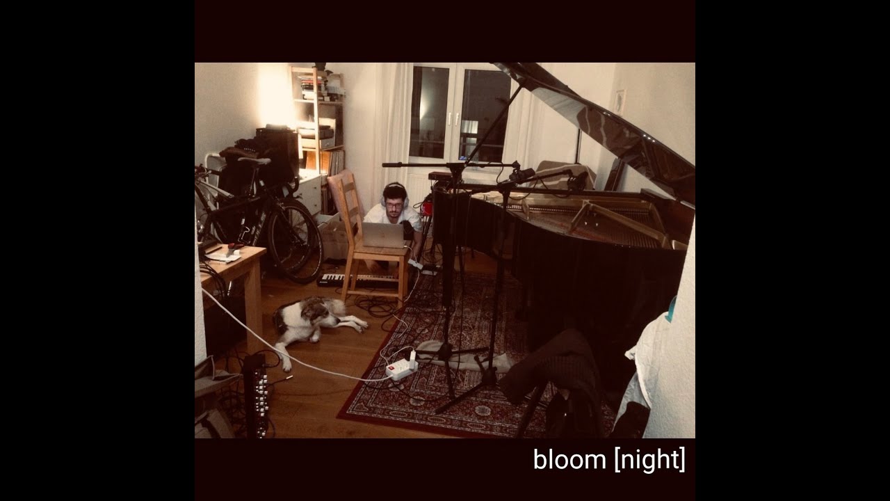 Felix Hauptmann - bloom (night)