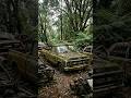 Abandoned 70s Farm Truck Barn Find… Will It Start? 😱