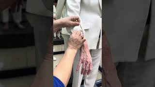 Alterations U0026 Tailoring At Fazio Cleaners shorts