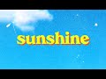 Sunshine - Megan Nicole (Lyric Video)