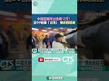 中國宮廟來台遶境