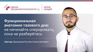 Функциональная анатомия тазового дна (Шахалиев Р.А)