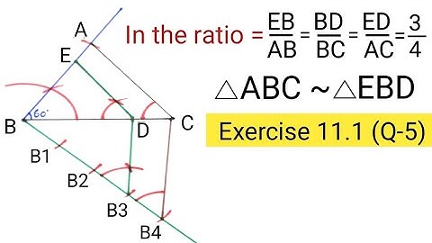 How to construct similar triangle | Exercise 11.1 10th class question number 5 | construction 10th