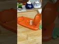 Video Image