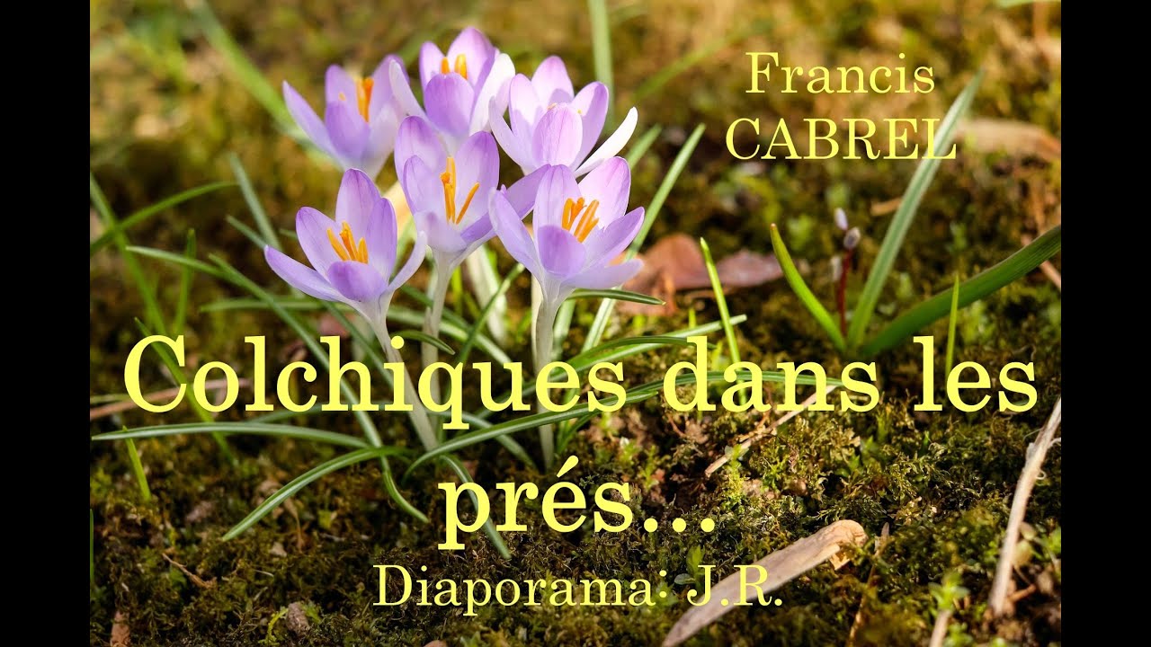 Colchiques dans les Prés Fr CABREL - YouTube