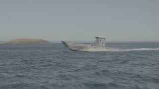 Robust Boats 10M Landing Craft