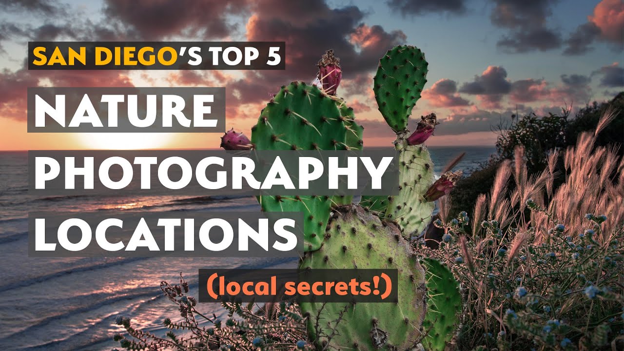 Top 5 Photography Locations San Diego, California YouTube