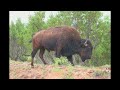 JOHN DEBNEY HORIZON MONTAGE WESTERN VIDEO WILLIAM LOCKMILLER PHOTOGRAPHY JOHN DEBNEY HORIZON MONTAGE WESTERN VIDEO WILLIAM LOCKMILLER PHOTOGRAPHY